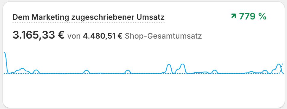 Umsatzansicht aus dem Shop-Backend: 3.165,33 € dem Marketing zugeschriebener Umsatz von 4.480,51 € Gesamtumsatz, plus 779 Prozent